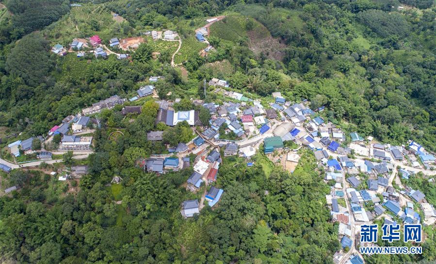 ���»�ȫýͷ����ͼ�Ļ�������10�������й��������������Թ���ƽ��ܵ�һ�߹۲�