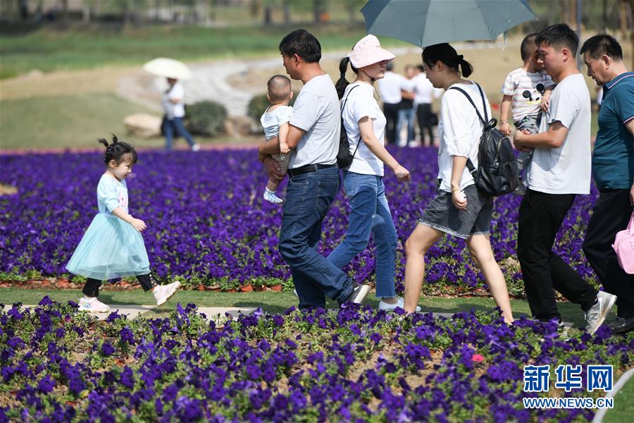 ���»�ȫýͷ����ͼ�Ļ�������6�������й��������������Թ���ƽ��ܵ�һ�߹۲�