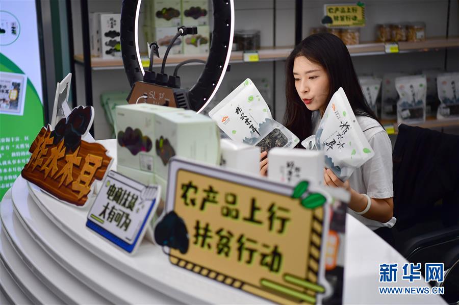 ���»�ȫýͷ����ͼ�Ļ�������6��뢻�����ͼ ���������̡���д�ڵ���ʮ�Ž�����ȫ���ٿ�֮��