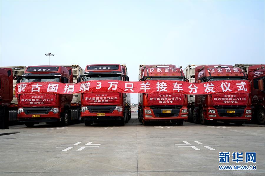 ���»�ȫýͷ����ͼ�Ļ�������1�����������������ǰ�еķ��򡪡�2020���й�Ԫ���⽻����