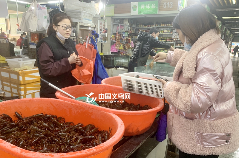“虾”一跳！小龙虾抢“鲜”在义乌上市 价格比平常贵一倍