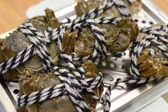 բззȯͷࣺע ڸǶ