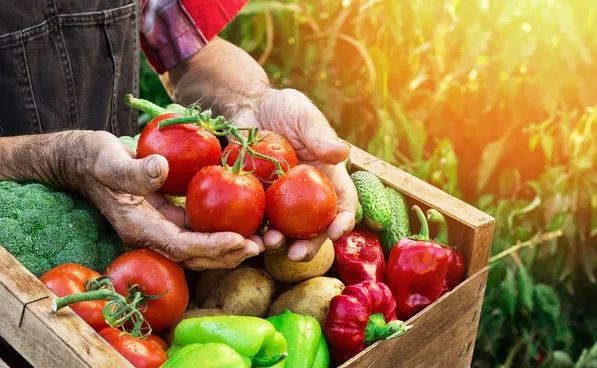 农业农村部组织全国大型农产品批发市场与河南蔬菜产地对接