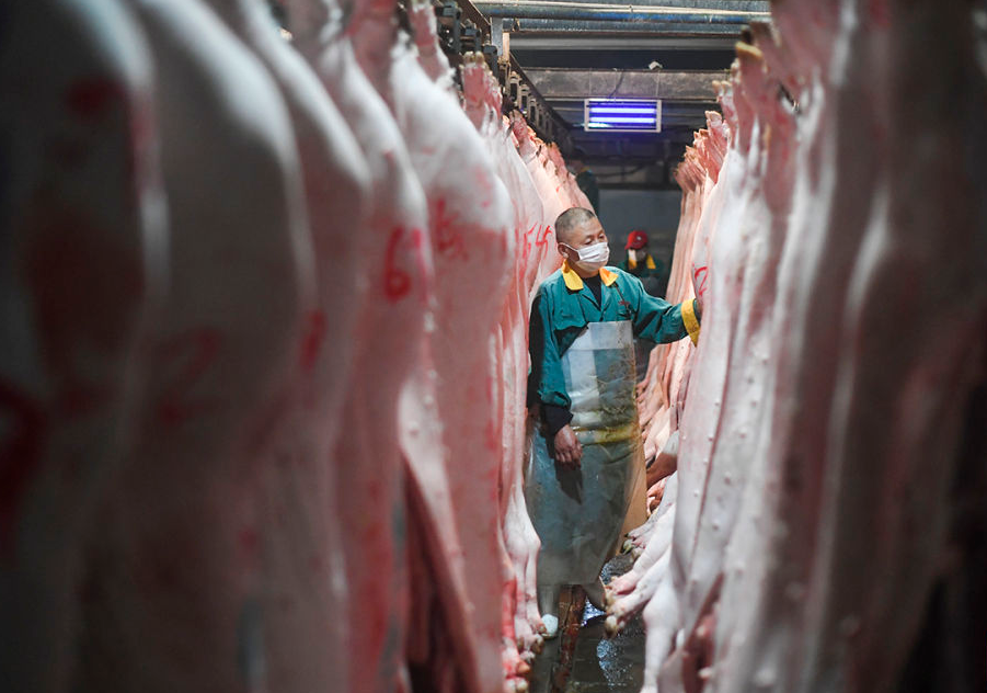 今年以来生猪价格震荡探底 猪肉价格为何持续低迷
