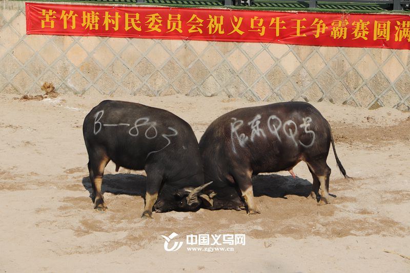 60ࡰţ͌ĩ(li)xϪţ(zhng)ِ