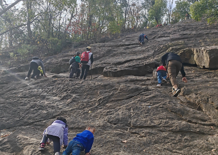 ����Ұ�������� ��������������