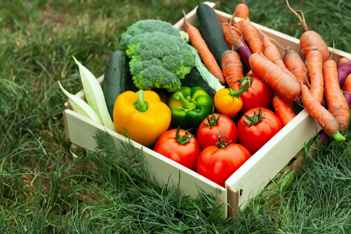 ���ա������ӡ�ȫ���ζ�ļ��ֻ� �й�ũ��Ʒ����������ǿ��