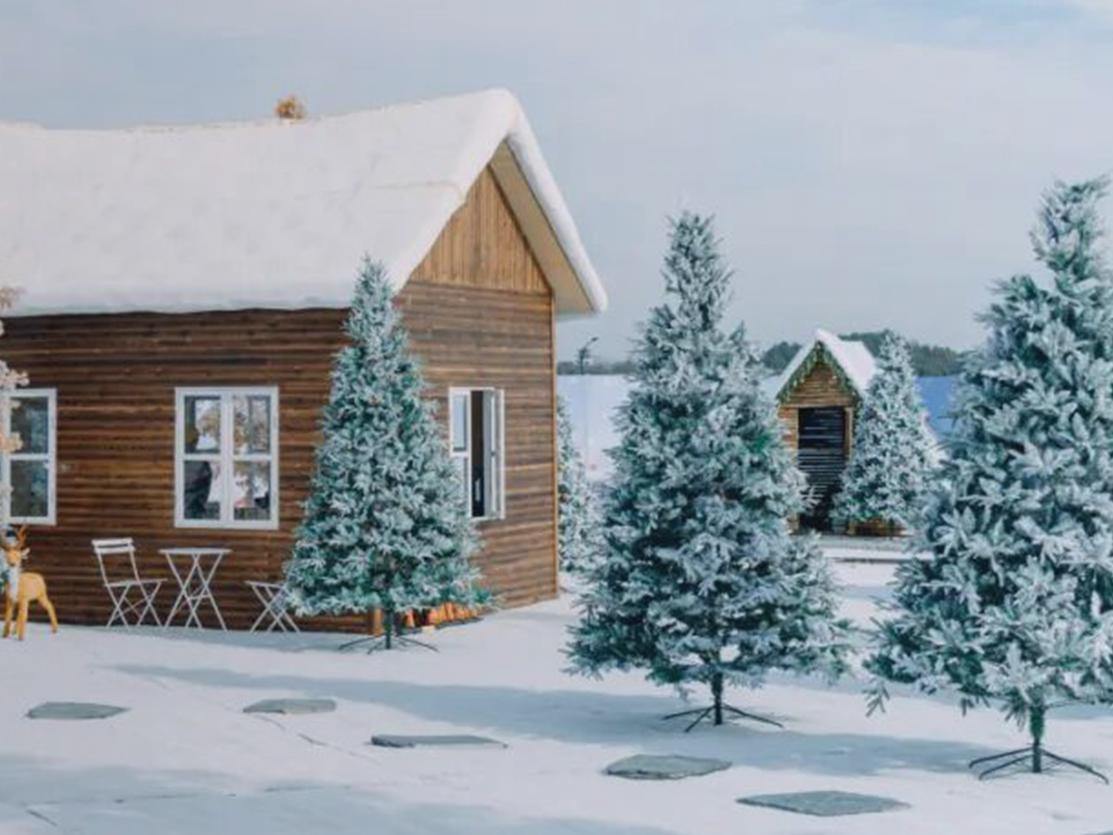 ����ѩ���ˣ�����5���ѩ��԰���а���Ķ���ͯ��