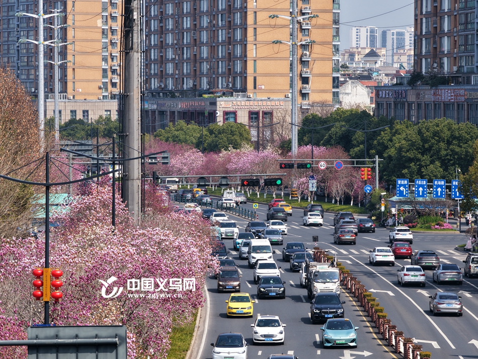 һ·����һ·�㣡���ڡ������������Ⱦ����