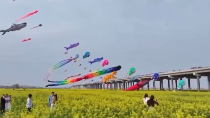 ��΢�ȼ١����� �ų�ҹ��Ȧ�� �����������ѡ��¡���ʮ��