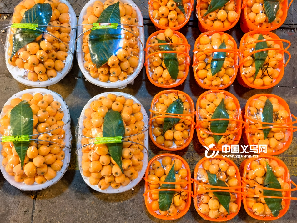 ���ڡ����չ��̡�����