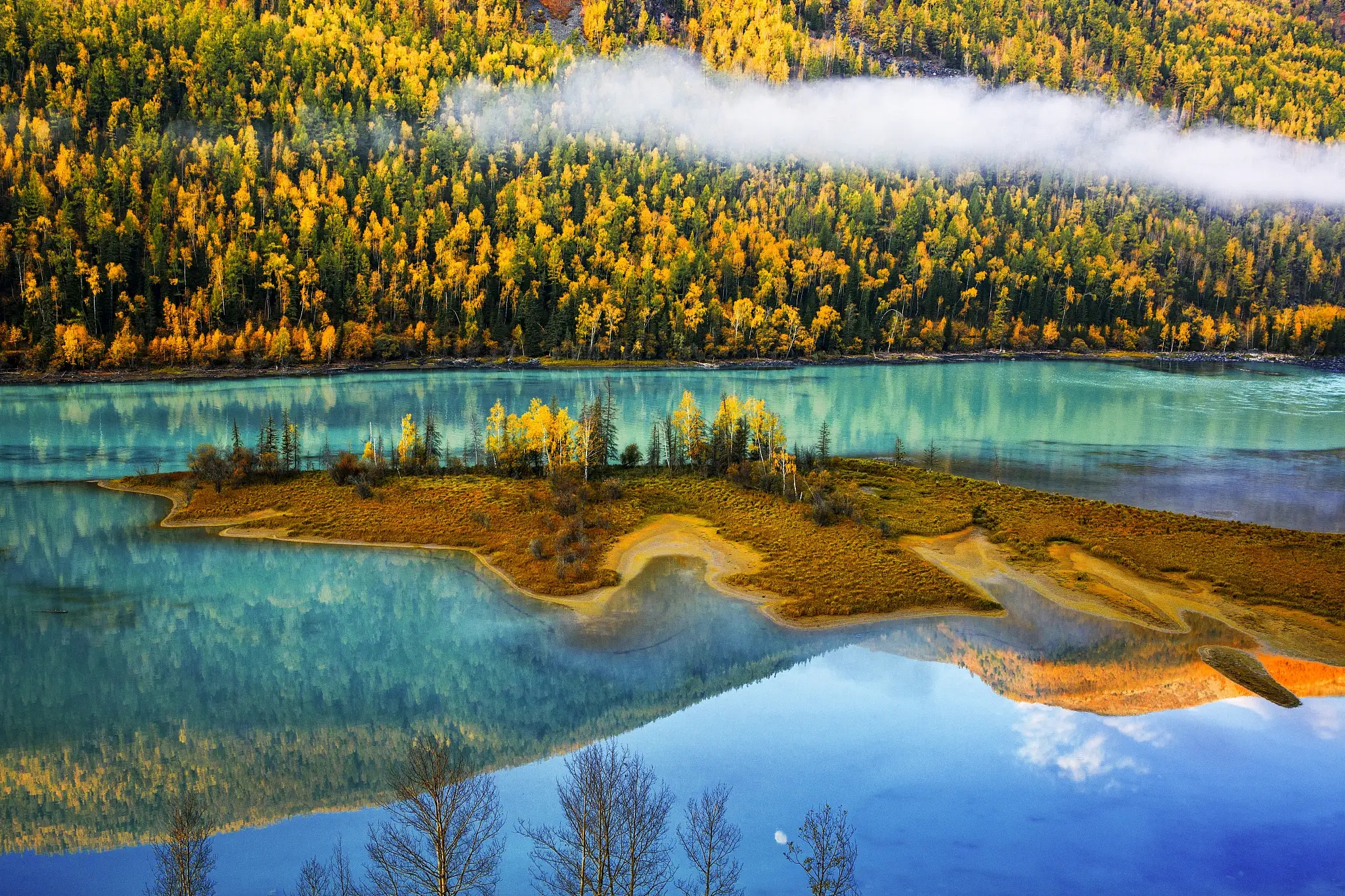 ����һ�����ڳ���Ԥ������