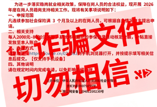 �������조2026����ۺϲ��������ٷ����ѡ�