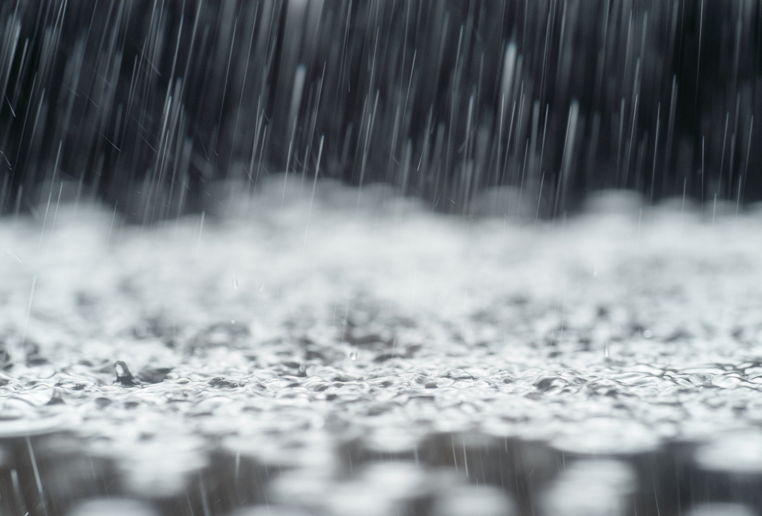 狂风暴雨伤感图片图片