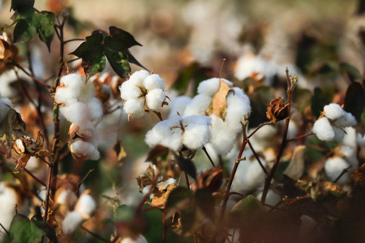 ���޻�Ҫ�и߼�ֵ