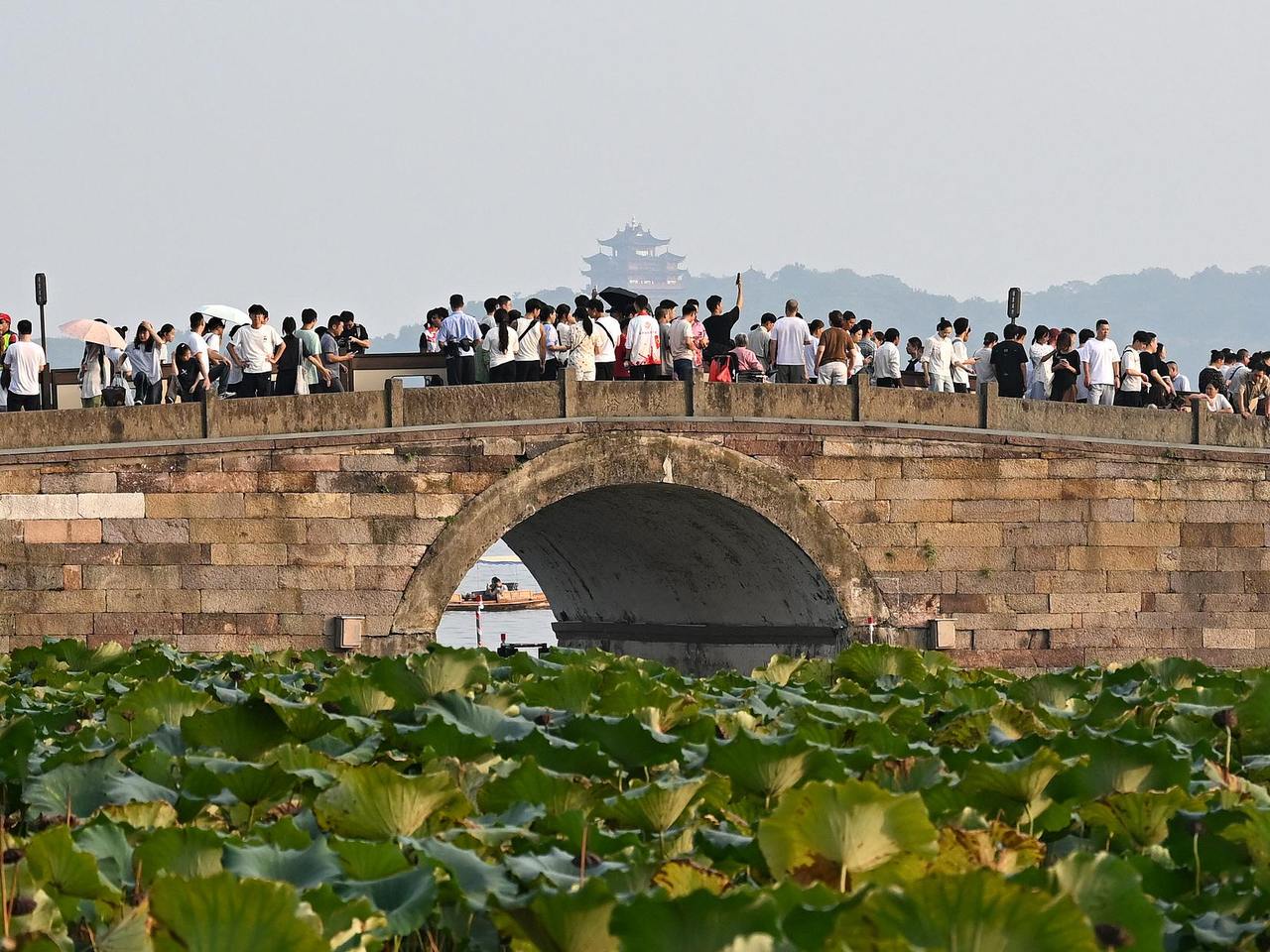 �˴κ�����ֱ�����9.2%��10.2%���㽭����2025������ҵ���ɼ�����