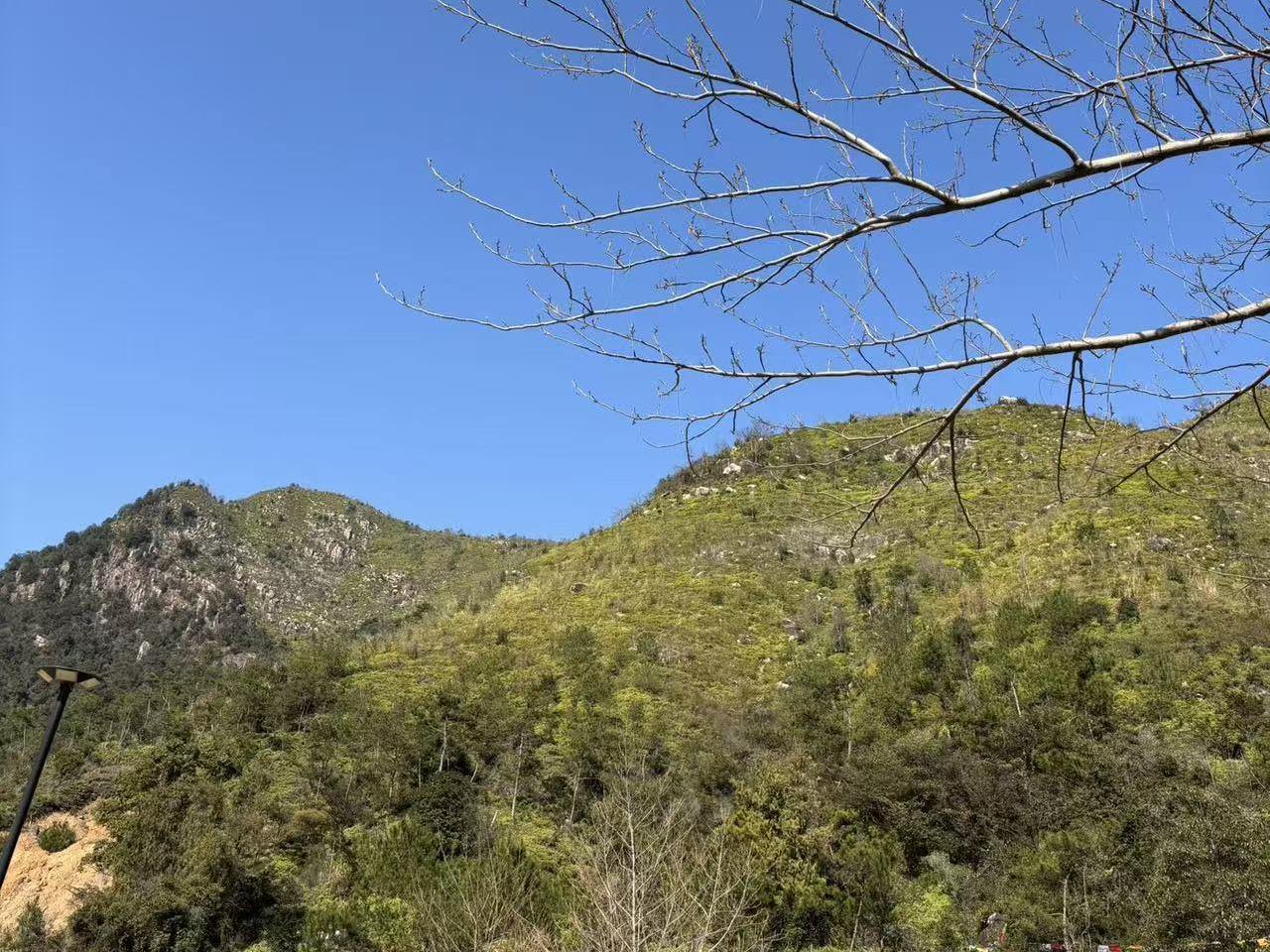 ���ˣ��㽭ȫʡ����ʱ������