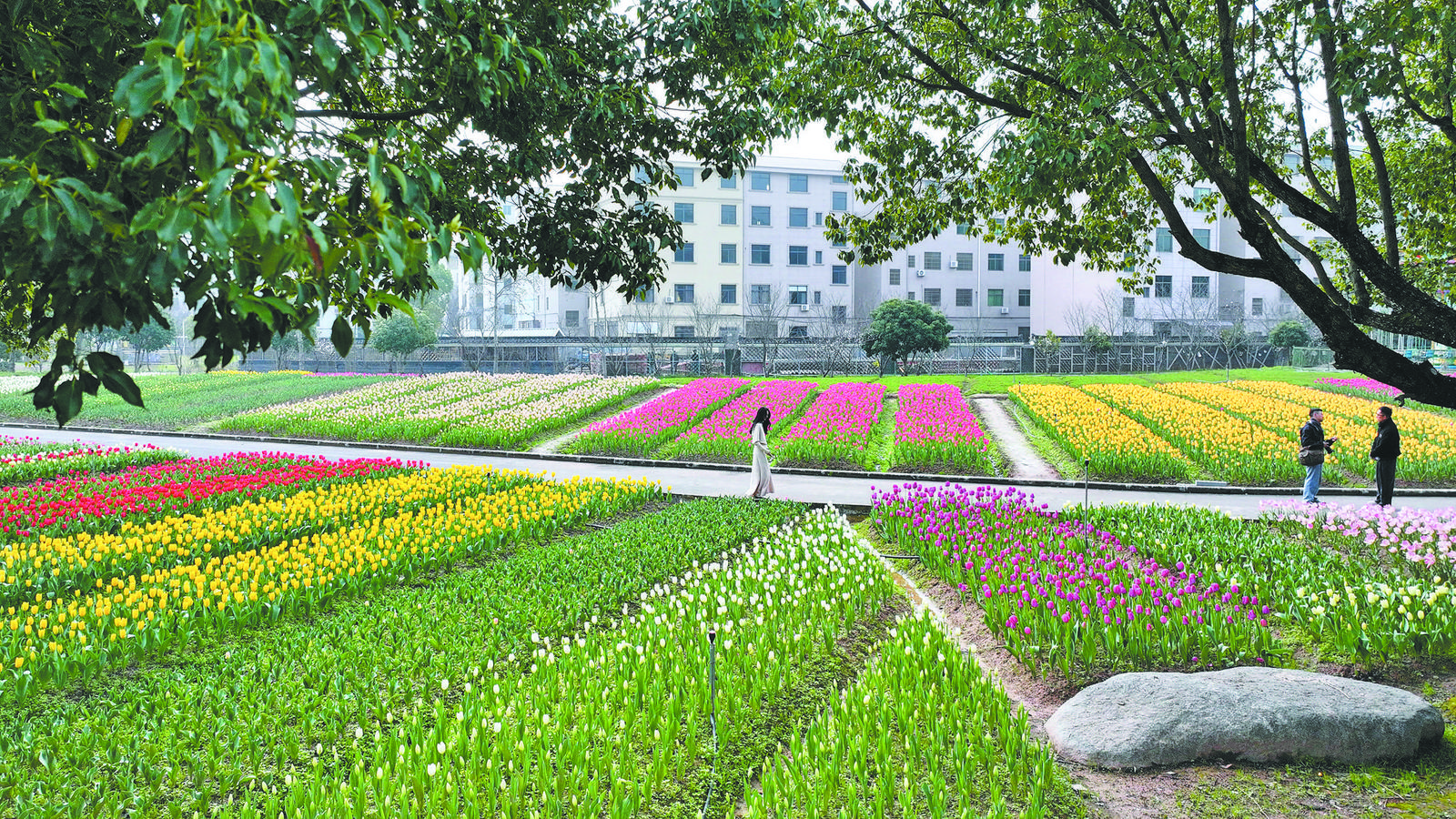 ���ڣ��������� ��ʰ��