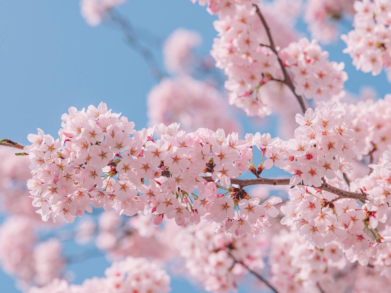 ����̤��ȥ����㽭����ͻ��м���������