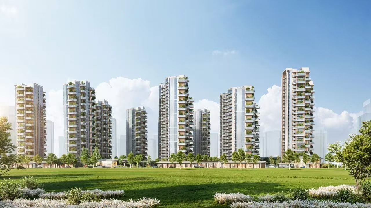 ������Ʒ ������|���ݻ��������뽨Ͷ������1���������ǩԼ��ʽԲ������