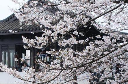 ����ӣ��ӭ�������� ��Щ��ӣʤ���㶼֪����