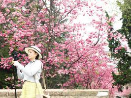 ������+���������ȴ������� �����������ŷ���Ŀ�ĵ�ǰʮ