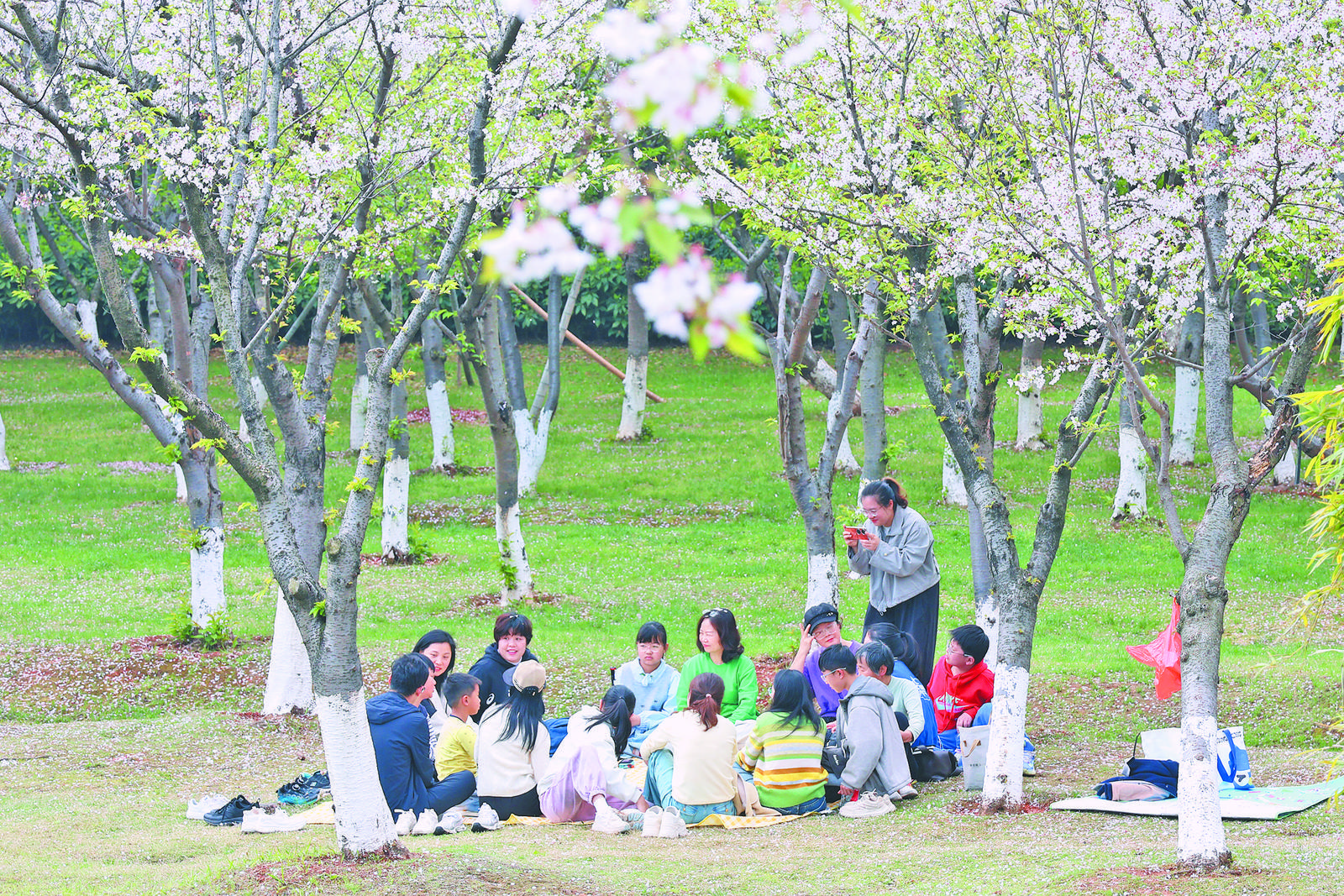 �����׸���Сѧ���������ռ���