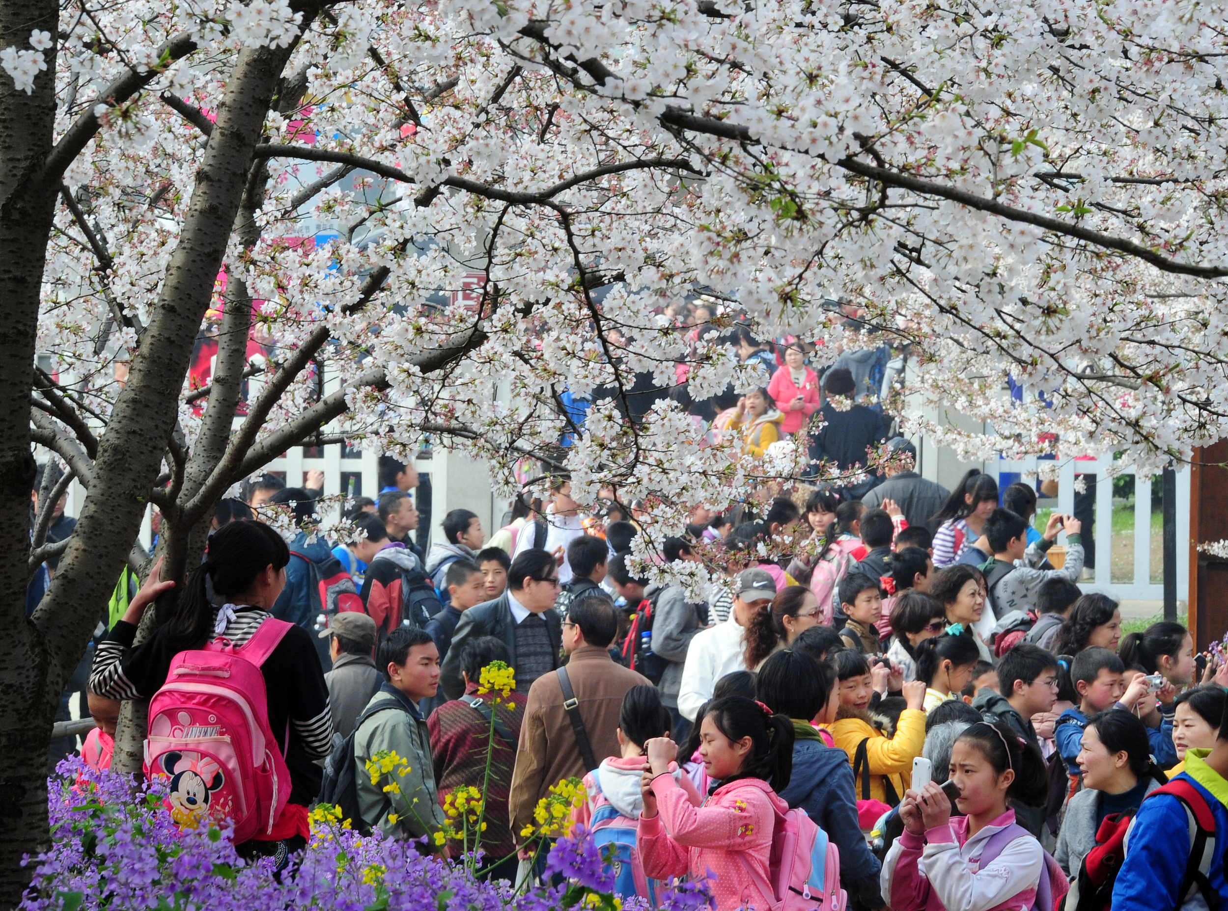 �������ٵ��� ��ӭ���θ߷�