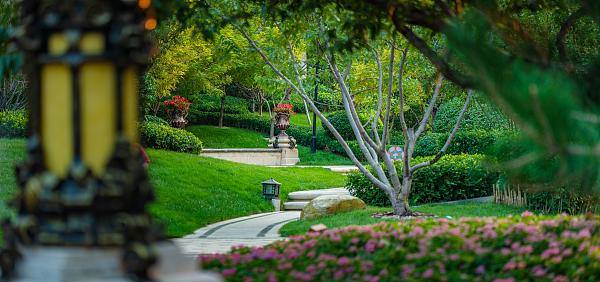 ���²��ַ�������ҵ����������