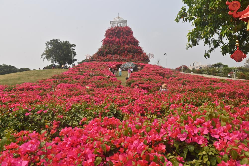 �ļ��Է��ƣ��������С��˼������족ȫ�겻����