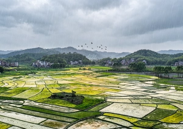 ���굱�첻���꣬Ԥʾȫ�꺵�������