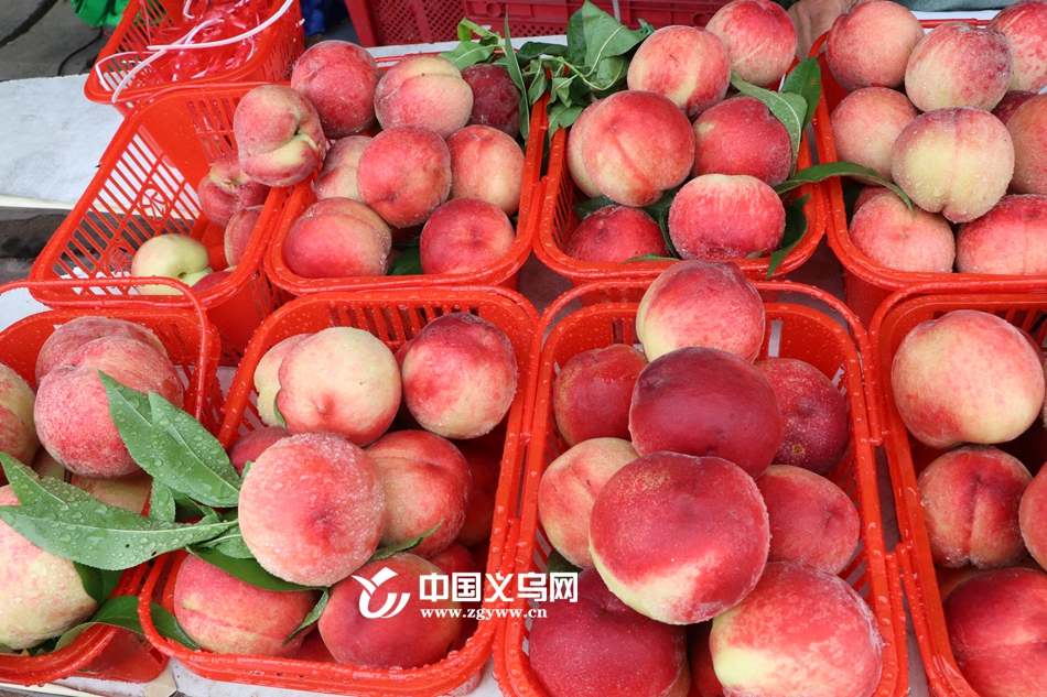 �����һ���ǧĶ���ֽᡰ����� ��Ӧ�ڳ�����10��