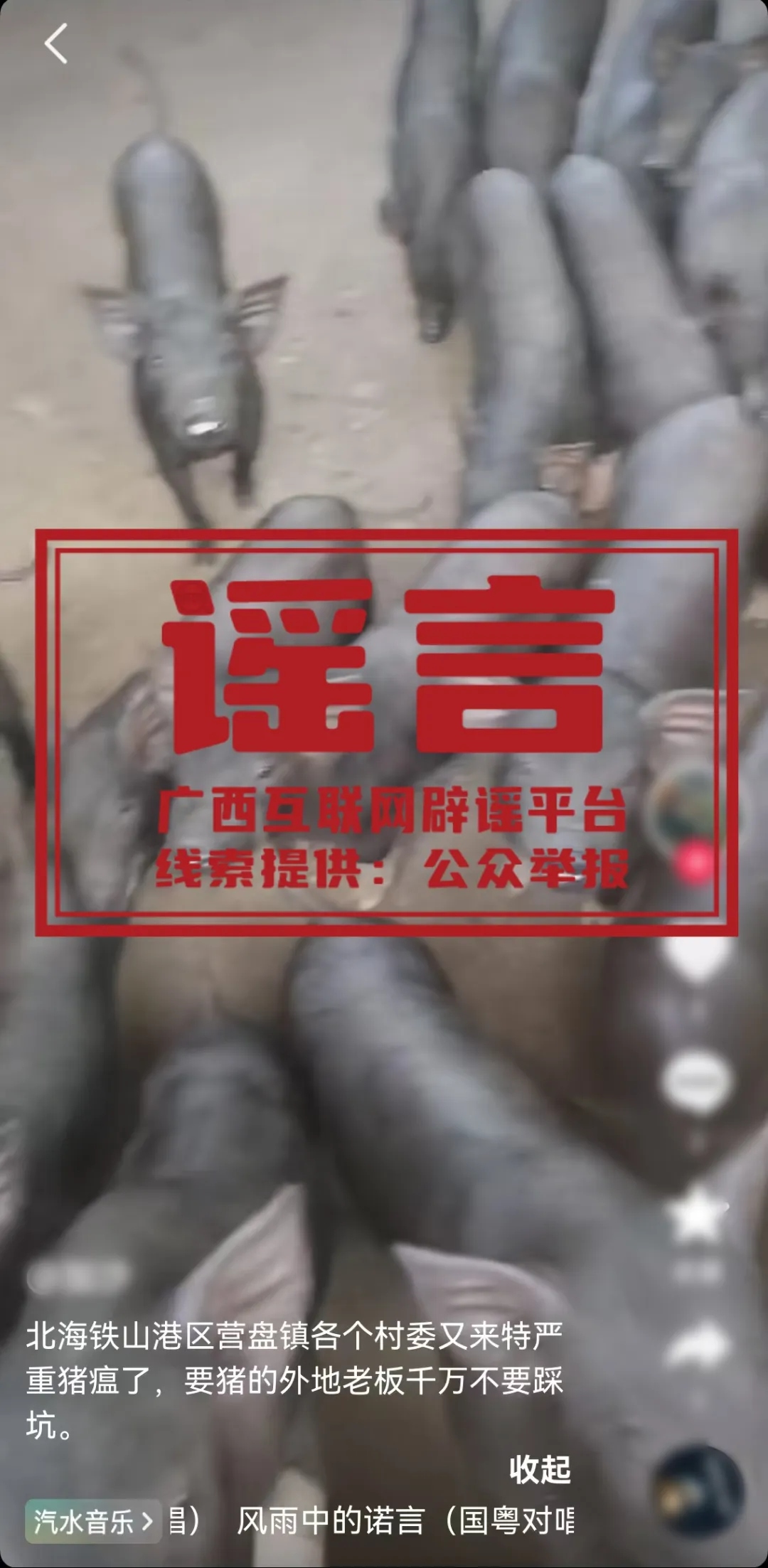 ������һ�ر������������������ػ�Ӧ