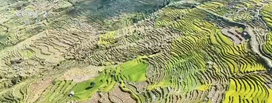 ��ͨɽ��������������ߡ� ǧ���������ո���Ч����ʡ��