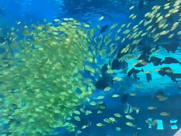 �������ȥ�Ĺ䣿�㽭��Щ�����м���������